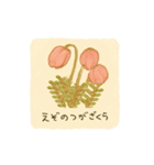 ナキウサギちゃん1（北海道 高山植物編)（個別スタンプ：21）