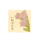 ナキウサギちゃん1（北海道 高山植物編)（個別スタンプ：24）