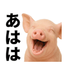 ミニブタの日常スタンプ（個別スタンプ：7）