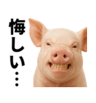 ミニブタの日常スタンプ（個別スタンプ：8）