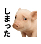 ミニブタの日常スタンプ（個別スタンプ：18）