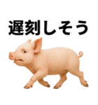 ミニブタの日常スタンプ（個別スタンプ：31）