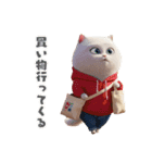 まんまる顔の猫様（個別スタンプ：29）
