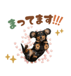 ダックスパート♡ゆるい日常スタンプ（個別スタンプ：16）