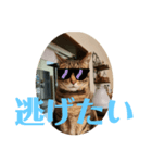 めいが大量（個別スタンプ：3）
