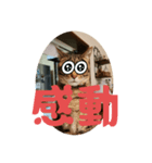 めいが大量（個別スタンプ：4）