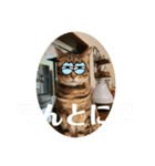 めいが大量（個別スタンプ：5）