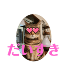 めいが大量（個別スタンプ：7）