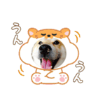 らきみん（個別スタンプ：4）