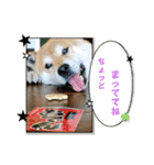 らきみん（個別スタンプ：7）