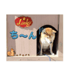 らきみん（個別スタンプ：11）
