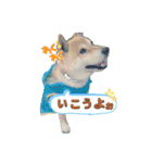 らきみん（個別スタンプ：12）
