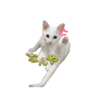 らきみん（個別スタンプ：14）