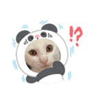 らきみん（個別スタンプ：16）