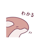 使いやすくなったシャチモのスタンプ（個別スタンプ：13）