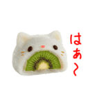 フルーツ大福の猫、ぷにっと一言（個別スタンプ：12）