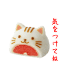 フルーツ大福の猫、ぷにっと一言（個別スタンプ：15）