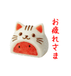 フルーツ大福の猫、ぷにっと一言（個別スタンプ：22）