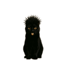 ハイセンスな猫たち（個別スタンプ：1）