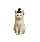 ハイセンスな猫たち（個別スタンプ：3）