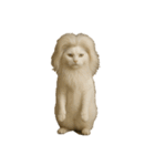 ハイセンスな猫たち（個別スタンプ：4）