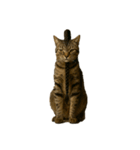 ハイセンスな猫たち（個別スタンプ：8）