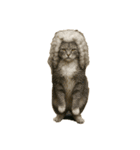 ハイセンスな猫たち（個別スタンプ：10）
