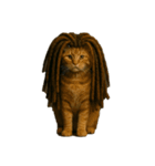 ハイセンスな猫たち（個別スタンプ：12）