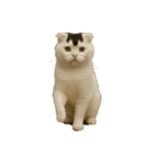 ハイセンスな猫たち（個別スタンプ：17）
