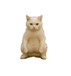 ハイセンスな猫たち（個別スタンプ：18）