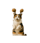 ハイセンスな猫たち（個別スタンプ：22）
