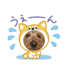 可愛い過ぎて困るチポトイ（個別スタンプ：5）