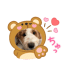 可愛い過ぎて困るチポトイ（個別スタンプ：7）