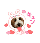可愛い過ぎて困るチポトイ（個別スタンプ：8）