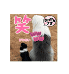 可愛い過ぎて困るチポトイ（個別スタンプ：20）