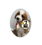 可愛い過ぎて困るチポトイ（個別スタンプ：22）
