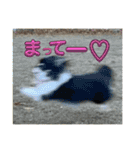 可愛い過ぎて困るチポトイ（個別スタンプ：23）