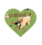 可愛い過ぎて困るチポトイ（個別スタンプ：24）