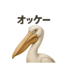 ちょっと笑えるペリカンスタンプ（個別スタンプ：1）