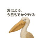 ちょっと笑えるペリカンスタンプ（個別スタンプ：3）