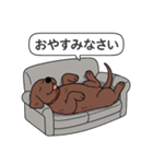 ラブラドールレトリバー(チョコレート)（個別スタンプ：4）