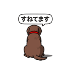 ラブラドールレトリバー(チョコレート)（個別スタンプ：9）