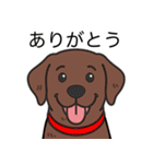 ラブラドールレトリバー(チョコレート)（個別スタンプ：23）