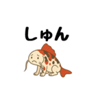 歩く鯉（個別スタンプ：12）