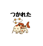 歩く鯉（個別スタンプ：13）