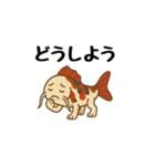 歩く鯉（個別スタンプ：14）