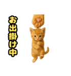 ❤︎あかにゃん❤︎茶虎………………….（個別スタンプ：1）