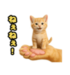 ❤︎あかにゃん❤︎茶虎………………….（個別スタンプ：20）
