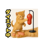 ❤︎あかにゃん❤︎茶虎………………….（個別スタンプ：29）