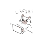 シャム猫くん（個別スタンプ：5）